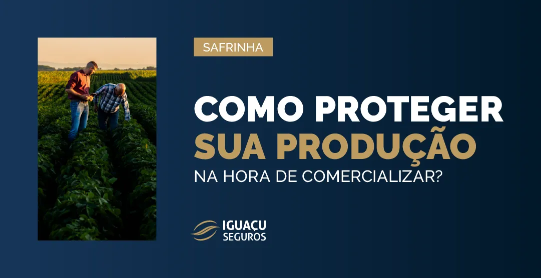 Iguaçu Seguros