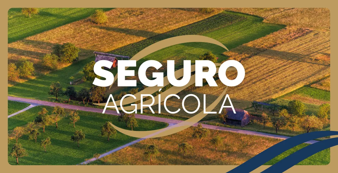 Iguaçu Seguros